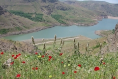 WhatsApp-Image-2022-05-05-at-12.28.16-PM-3