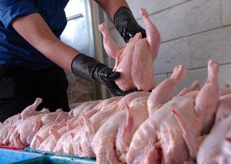 علت افزایش قیمت مرغ در بازار