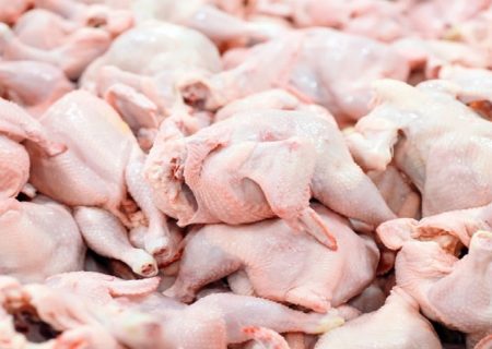 جزئیات افزایش ۱۳۴ درصدی قیمت مرغ