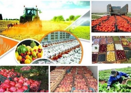 رشد بیش از پنج برابری تسهیلات اعطایی به بخش کشاورزی آذربایجان‌شرقی