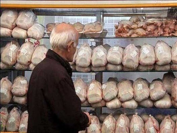 ۳۰۰ تن مرغ منجمد تنظیم بازار در آذربایجان شرقی توزیع شد