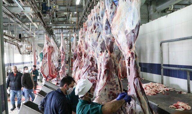 تولید نهاده‌های دامی از ضایعات شکمبه‌های گاوی و گوسفندی برای اولین بار در کشور