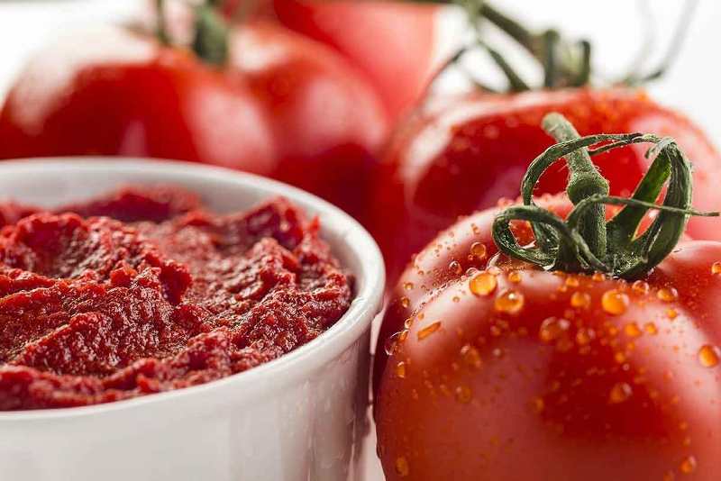 راه اندازی ۶ واحد فرآوری گوجه فرنگی در اردبیل