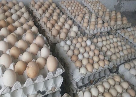 ۳۸ درصد تخم‌مرغ تولیدی در آذربایجان‌شرقی مازاد بر مصرف است