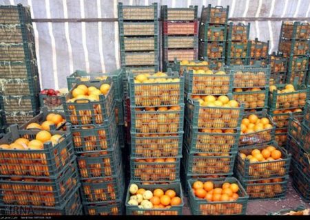 تدبیر برای عرضه مستقیم میوه عید در آذربایجان‌شرقی