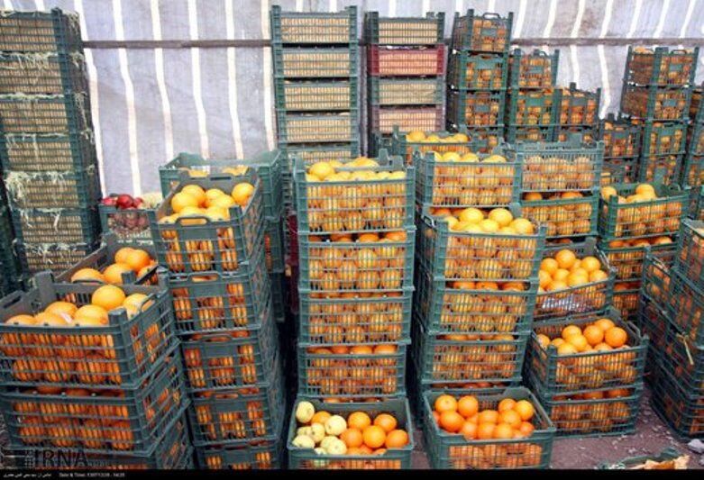 تدبیر برای عرضه مستقیم میوه عید در آذربایجان‌شرقی