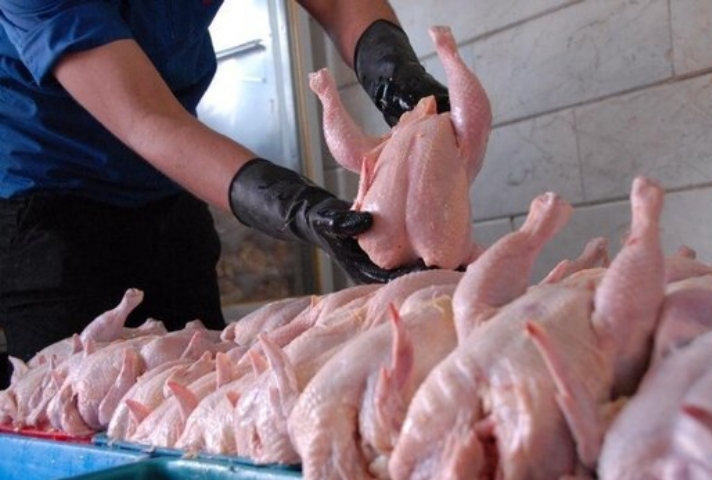 نامتعادل بودن بازار مرغ ناشی از افزایش قیمت گوشت قرمز و حبوبات