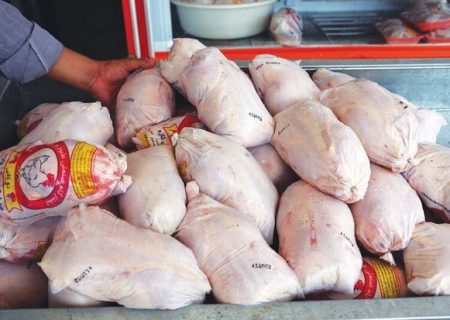 رییس سازمان جهاد کشاورزی آذربایجان شرقی: صادرات مرغ نداریم