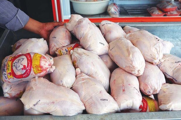 توزیع روزانه ۶ تن مرغ گرم کشتار روز به قیمت تنظیم بازار در هشترود