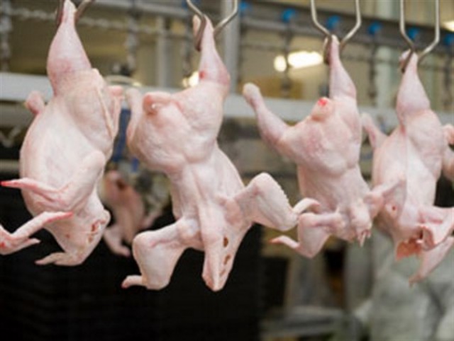 کاهش کشتار مرغ در آذربایجان‌شرقی به یک سوم