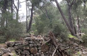 اختصاصی یاز اکو/  بقایای آثار تمدن بیزانس در ارتفاعات جنگل های آنتالیا