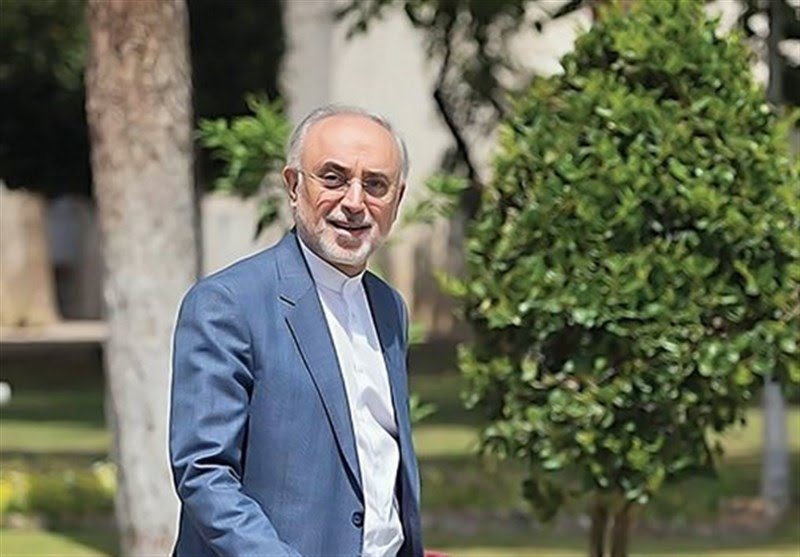 علی اکبر صالحی: با برجام صنعت هسته‌ای نه متوقف و نه کُند می‌شود / اگر آمریکا به برجام برگردد و تحریم‌ها را رفع کند، ایران هم باز خواهد گشت