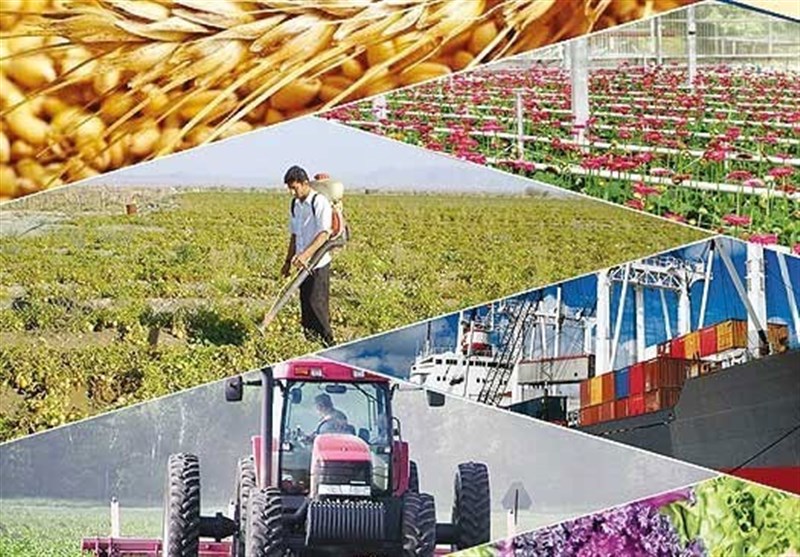 بخش کشاورزی می‌تواند به موتور محرک “تولید صادرات‌ محور” آذربایجان شرقی تبدیل شود