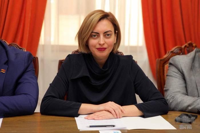 حمایت نایب رئیس پارلمان ارمنستان از پایان دشمنی با ترکیه