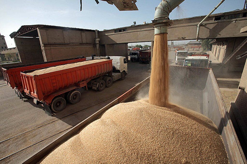 ۱.۴ میلیون تن گندم مازاد برمصرف کشاورزان در کشور خریداری شده است