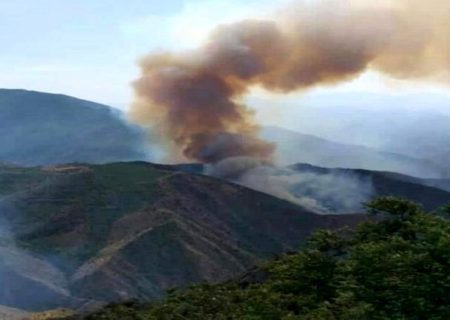 ‌کاهش حدود هشت برابری آتش‌سوزی در جنگل‌های خداآفرین