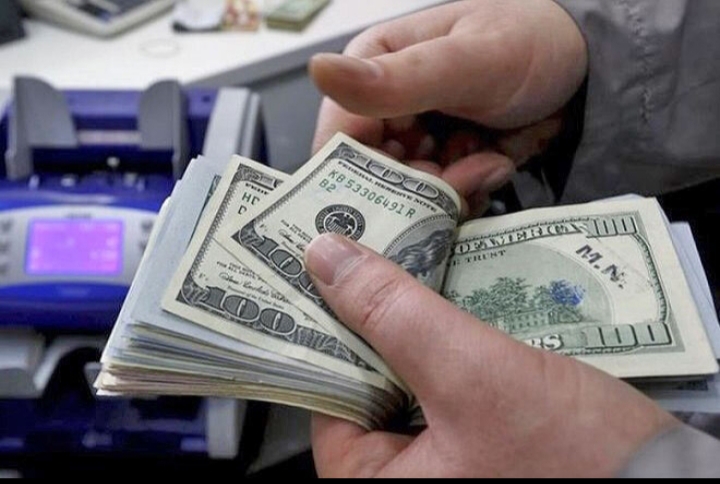 قیمت رسمی ارز/ روز آرام و بی نوسان دلار