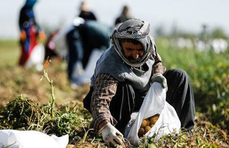 خسارت بیش از ۱۰ هزار میلیارد ریالی بخش کشاورزی آذربایجان شرقی در سال جدید
