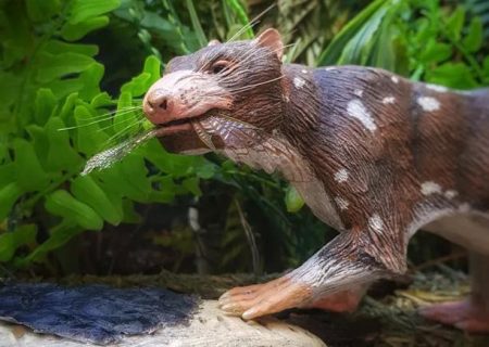 بقایای یک پستاندار جدید با قدمت ۷۲ میلیون سال در شیلی کشف شده است