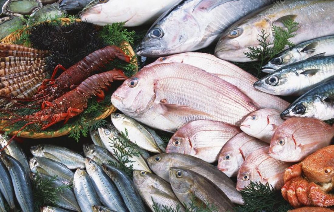 آذربایجان شرقی سالانه بیش از ۱۳ میلیون ماهی زینتی تولید می‌کند