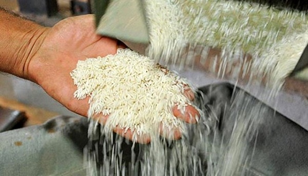 فراموشی کمبود برنج در هیاهوی انتخاباتی/ تنها تا ۳ ماه دیگر ذخایر برنج خارجی داریم