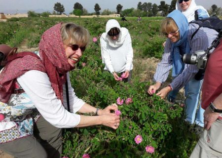 اردبیل پیشتاز صدور مجوز گردشگری کشاورزی در کشور است