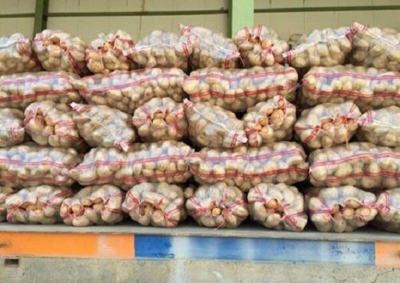 ۱۲۶ هزار تن سیب‌زمینی از استان اردبیل صادر شد