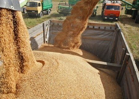 اعلام قیمت خرید تضمینی محصولات زراعی در آذربایجان شرقی