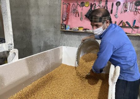 فعالیت ۱۳۰۰ کارگاه تولید نخودچی در ممقان