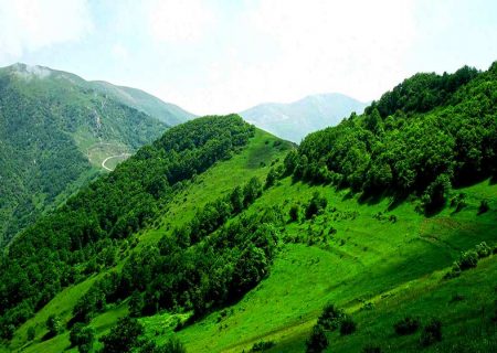 جنگل‌های ارسباران با همکاری ایران و آذربایجان ثبت جهانی می‌شود