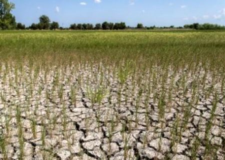 آژیر خطر خشکسالی در آذربایجان غربی هم به صدا در آمد/ کاهش ۱۶ درصدی ذخایر آبی سدهای استان/کاهش سهمیه آب کشاورزان مهاباد