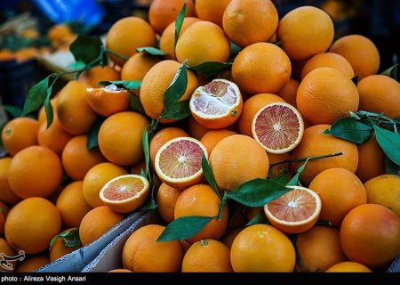 ۳۰۰ کانتینر میوه و تره بار ایران در مرز آذربایجان فاسد شد / هر تاجر ایرانی ۵ تا ۲۰ میلیارد تومان خسارت دید