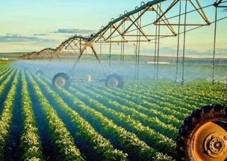 شکوفایی بذرهای دانش بنیان در کشاورزی آذربایجان شرقی