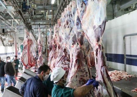 کشتارگاه صنعتی تبریز به تامین گوشت قرمز ۱۰ شهر استان کمک می‌کند
