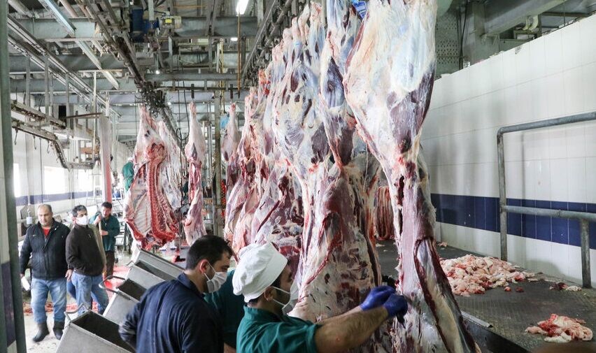 گوشت در فروشگاه‌های کشتارگاه تبریز درجه‌بندی کیفیت می‌شود