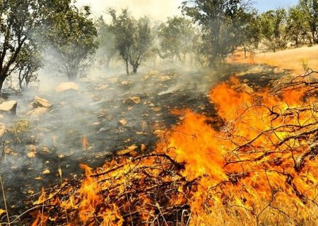 آتش سوزی در منطقه پیرداود شهرستان ورزقان مهار شد