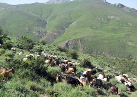 ۳۰ میلیارد تومان اعتبار به طرح های عشایری آذربایجان شرقی اختصاص یافت