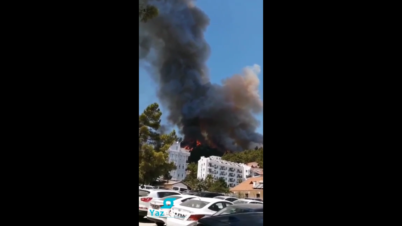 آتش سوزی ها در ترکیه بیداد می کند. آتش سوزی های شدید جنگل ها در بسیاری از مناطق کشور رخ می دهد