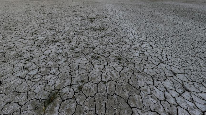 ۸۰ درصد مساحت استان اردبیل دچار خشکسالی شدید است