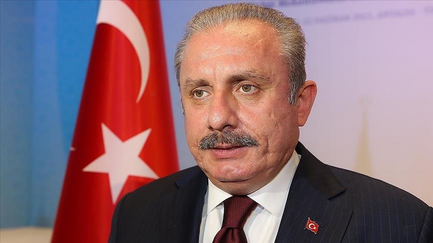 سفررئیس مجلس ترکیه به آذربایجان