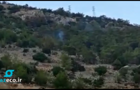 ویدیویی که در آن آتش افروزی فرد دیگری در ترکیه را نمایش می دهد. ژاندارمری ترکیه بدنبال دستگیری اوست