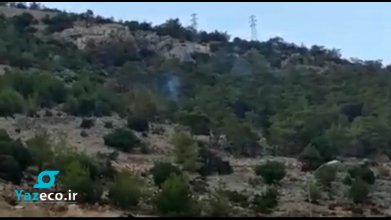 ویدیویی که در آن آتش افروزی فرد دیگری در ترکیه را نمایش می دهد. ژاندارمری ترکیه بدنبال دستگیری اوست