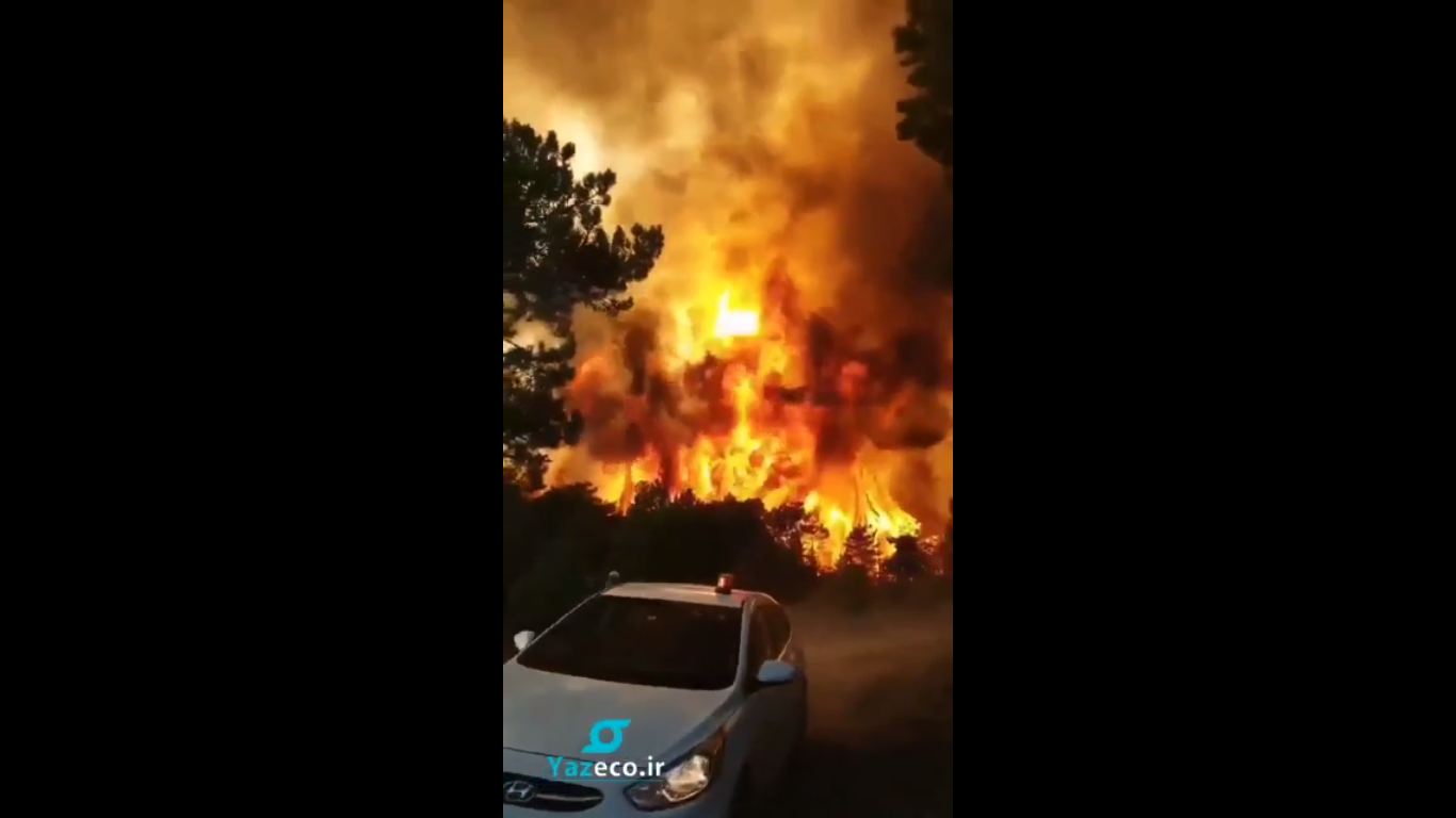 شروع آتش سوزی در یک منطقه جدید ترکیه؛ این بار جنگل های دنیزلی دچار حریق شدند
