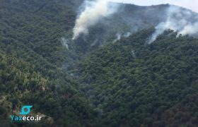 جنگل های نوار جنوبی جمهوری آذربایجان دچار حریق شده است