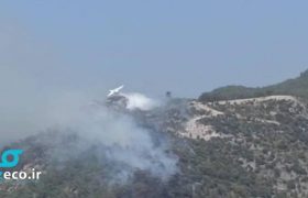 نیروهای وزارت امور اضطراری آذربایجان اقدامات خود را برای مقابله با آتش سوزی جنگل ها در جمهوری ترکیه ادامه می دهند