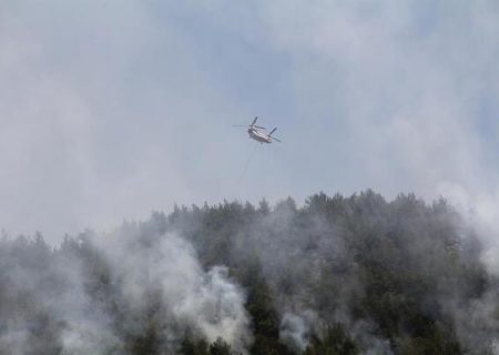  ترکیه ۹۸ آتش سوزی گسترده جنگلی را تحت کنترل درآورد