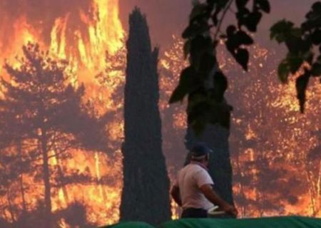یک پسر ۱۶ ساله به اتهام آتش زدن جنگل در آنتالیا دستگیر شد