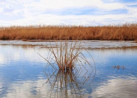 آخرین وضعیت تالاب‌های آذربایجان شرقی در فصل خشکسالی
