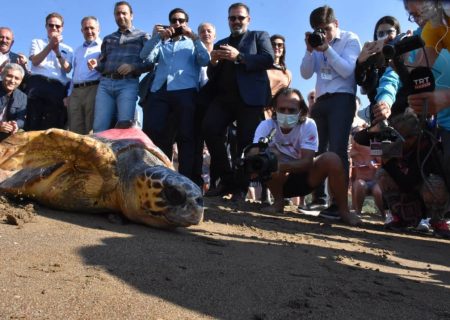 بحران آب و هوا الگوهای سفر لاک پشت های دریایی از ترکیه را تغییر می دهد