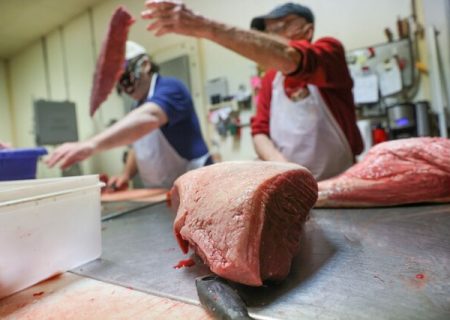 گروه ثابت بازرسی برای جلوگیری از توزیع گوشت غیربهداشتی در شهر تبریز فعال شد